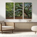 Historic Tree Wall Art – Framed Mossy Branch Canvas Artwork, by MyGreatCanvas | Canvas Wall Art Prints | Photo Prints & Wall Decor