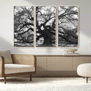 Ancient Oak Wall Art Canvas Print – Gnarled Tree Twisted by MyGreatCanvas | Canvas Wall Art Prints | Photo Prints & Wall Decor