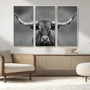 Texas Longhorn Wall Art Canvas Print – Framed Western Bull