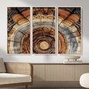 Tree Rings Wall Art Canvas Print – Rustic Wood Texture