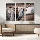 Texas Longhorn Wall Art Canvas Print – Framed Spotted Bull
