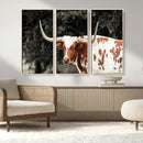 Texas Longhorn Wall Art Canvas Print – Framed Spotted Bull