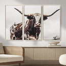 Texas Longhorn Wall Art Canvas Print – Framed Spotted Bull by MyGreatCanvas | Canvas Wall Art Prints | Photo Prints & Wall Decor