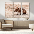 Texas Longhorn Wall Art – Framed Resting Bull Canvas by MyGreatCanvas | Canvas Wall Art Prints | Photo Prints & Wall Decor