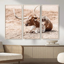 Texas Longhorn Wall Art Canvas Print – Framed Resting Bull by MyGreatCanvas | Canvas Wall Art Prints | Photo Prints & Wall Decor