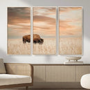 MyCanvas -