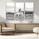 White Horse Wall Art Canvas Print – Framed Woman Rider