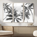 Black and White Palm Wall Art Canvas Print – Framed