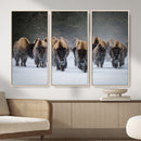 Bison Herd Wall Art Canvas Print, Framed Rustic Wildlife by MyGreatCanvas | Canvas Wall Art Prints | Photo Prints & Wall Decor