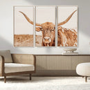Longhorn Bull Wall Art Canvas Print – Framed Western Cow