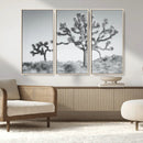 Joshua Trees Wall Art Canvas Print – Framed Black White