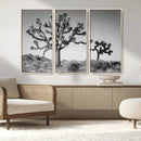 Joshua Tree Wall Art Canvas Print – Framed Monochrome Desert