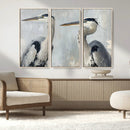 Bird Canvas Decor Wall Art Canvas Print – Framed Coastal