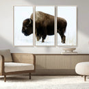 Bison Wall Art Canvas Print – Framed Western Wildlife