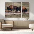 Bison Wall Art Canvas Print – Framed Western Wildlife Modern by MyGreatCanvas | Canvas Wall Art Prints | Photo Prints & Wall Decor