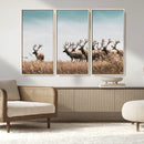 Elk Herd Wall Art Canvas Print – Framed Wildlife Photography