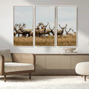 Elk Herd Wall Art Canvas Print – Framed Wildlife Photography