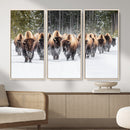 American Bison Herd Wall Art Canvas Print – Powerful Winter by MyGreatCanvas | Canvas Wall Art Prints | Photo Prints & Wall Decor