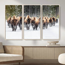 Bison Herd Scene Wall Art Canvas Print – Framed Western by MyGreatCanvas | Canvas Wall Art Prints | Photo Prints & Wall Decor