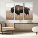 American Bison Wall Art Canvas Print – Majestic Buffalo