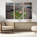 Chicago Bears Soldiers Field Wall Art Canvas Print – Framed