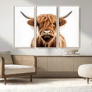 Scottish Highland Cow Canvas Print, Framed Highland Cow