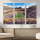 Tennessee Neyland Stadium Wall Art, Sports Arena Canvas by MyGreatCanvas | Canvas Wall Art Prints | Photo Prints & Wall Decor