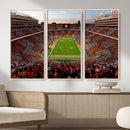 Tennessee Neyland Stadium Wall Art, Sports Arena Canvas by MyGreatCanvas | Canvas Wall Art Prints | Photo Prints & Wall Decor