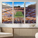Tennessee Neyland Stadium Wall Art, Sports Arena Canvas by MyGreatCanvas | Canvas Wall Art Prints | Photo Prints & Wall Decor