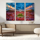 Tennessee Neyland Stadium Wall Art, Sports Arena Canvas by MyGreatCanvas | Canvas Wall Art Prints | Photo Prints & Wall Decor
