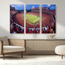 Dooley Stadium Wall Art, Sports Arena Canvas Print, Dooley by MyGreatCanvas | Canvas Wall Art Prints | Photo Prints & Wall Decor