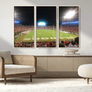 Dooley Stadium Wall Art, Sports Arena Panoramic Canvas by MyGreatCanvas | Canvas Wall Art Prints | Photo Prints & Wall Decor