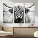 Black White Highland Cow Wall Art Canvas Print