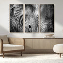 Wild Old Elephant Wall Art Canvas Print