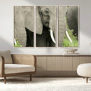 Wild Elephant Wall Art Canvas Print by MyGreatCanvas | Canvas Wall Art Prints | Photo Prints & Wall Decor