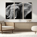 Big Elephant Close Up Wall Art Canvas Print