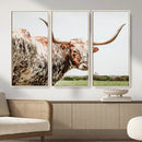 Texas Catle Longhorn Wall Art Canvas Print for Farmhouse by MyGreatCanvas | Canvas Wall Art Prints | Photo Prints & Wall Decor