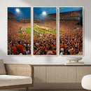 Clemson Tigers Memorial Stadium Wall Art Canvas Print by MyGreatCanvas | Canvas Wall Art Prints | Photo Prints & Wall Decor