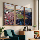Donald W. Reynolds Razorback Stadium Wall Art Canvas Print –