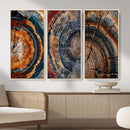 Tree Ring Triptych Canvas Wall Art — Set of 3 Wood Grain by MyGreatCanvas | Canvas Wall Art Prints | Photo Prints & Wall Decor