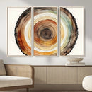 Natural Wood Slice Wall Art Canvas Print, Tree Ring Wall by MyGreatCanvas | Canvas Wall Art Prints | Photo Prints & Wall Decor