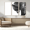Black and White Grizzly 399 Bear Canvas Print Wall Art | by MyGreatCanvas | Canvas Wall Art Prints | Photo Prints & Wall Decor