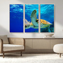 Sea Turtle Wall Art Canvas Print, Sea life in the Ocean Wall
