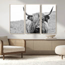 Newfoundland Cow Art Wall Art, Black White Cow Art Wall Art