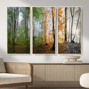 Four Seasons Wall Art Forest Canvas Print – Triptych