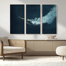 Swimmer Wall Art Canvas Print