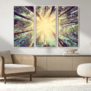 Tree and Sunshine Canvas Print