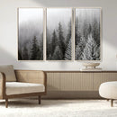 Big Foggy Forest and Misty Trees Forest Wall Art Canvas by MyGreatCanvas | Canvas Wall Art Prints | Photo Prints & Wall Decor