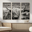 Cow Focus Canvas Wall Art Print by MyGreatCanvas | Canvas Wall Art Prints | Photo Prints & Wall Decor