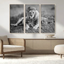 King Forest Lion Wall Art Canvas Print – Framed Majestic by MyGreatCanvas | Canvas Wall Art Prints | Photo Prints & Wall Decor